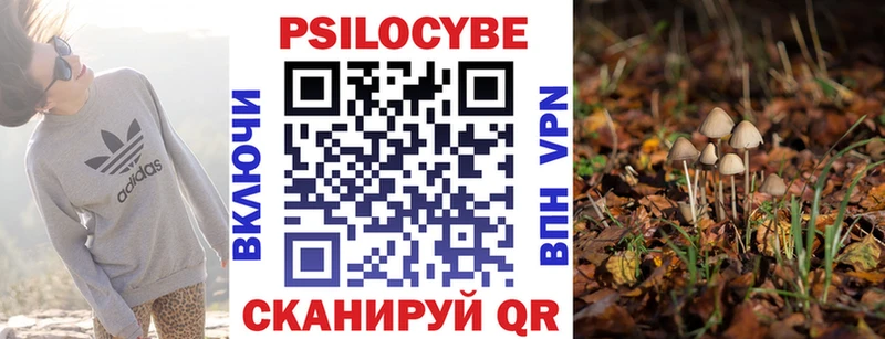 Галлюциногенные грибы MAGIC MUSHROOMS  это формула  Демидов 